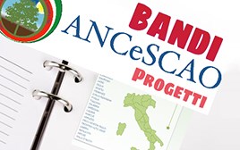 Bandi ANCeSCAO 2018/